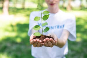 woman with plant in hands